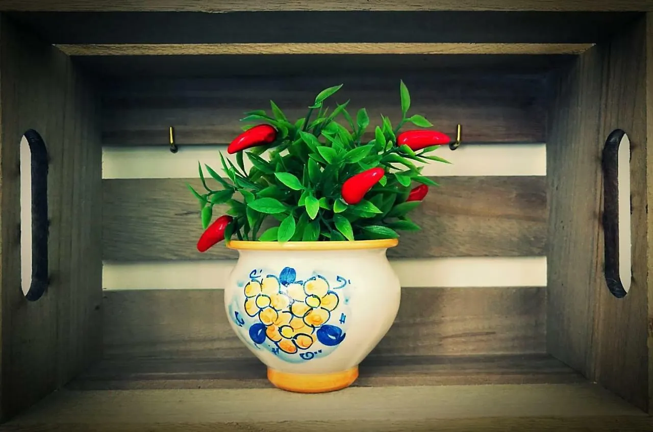 U Dammusu Ra Cianta Βίλα Μόντικα